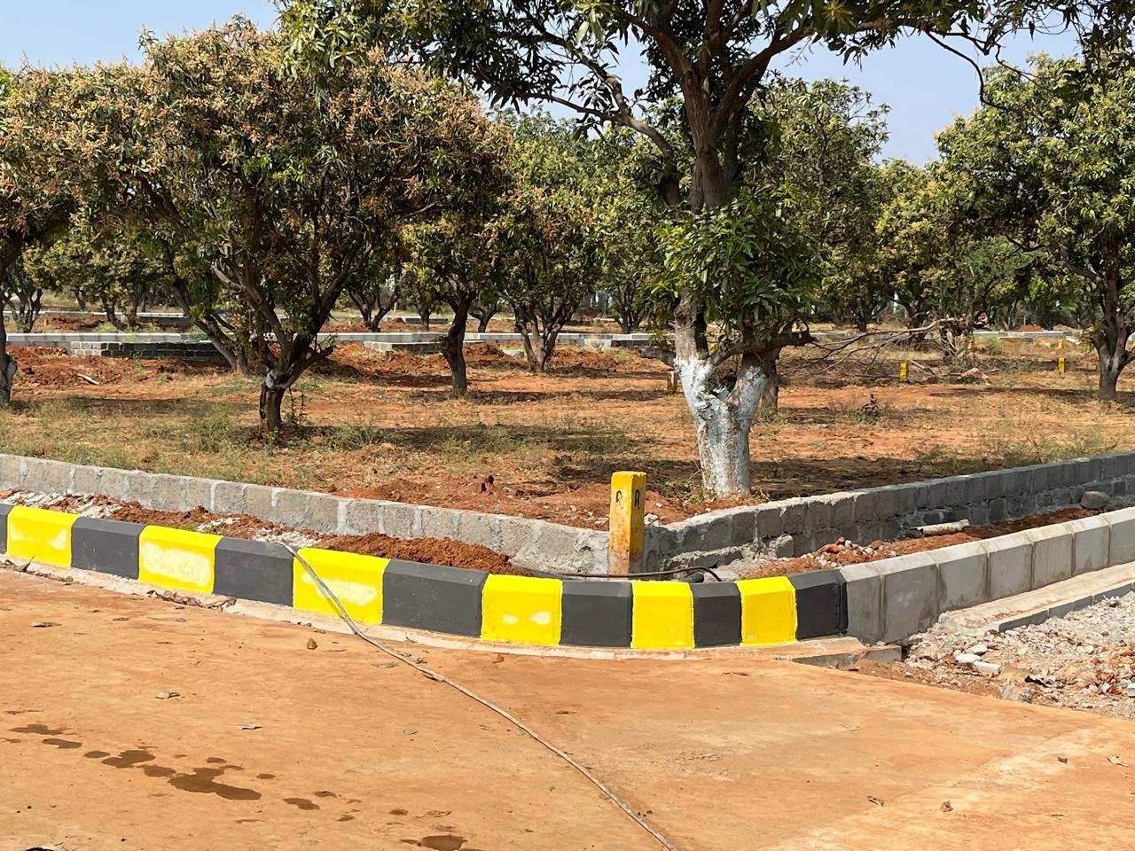 WhatsApp Image 2026-02-02 at 5.57.01 PM